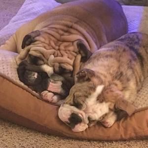 Meet your Posher, Kristy